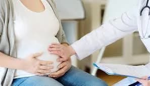 inseminacion